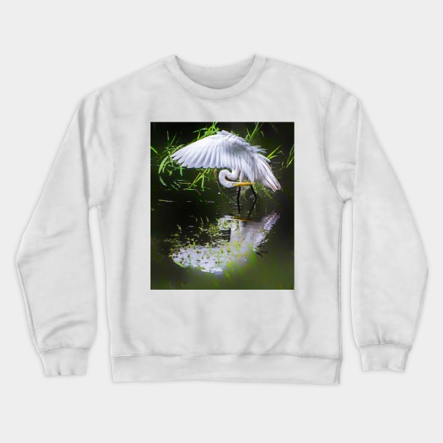 Preening egret Crewneck Sweatshirt by joesaladino